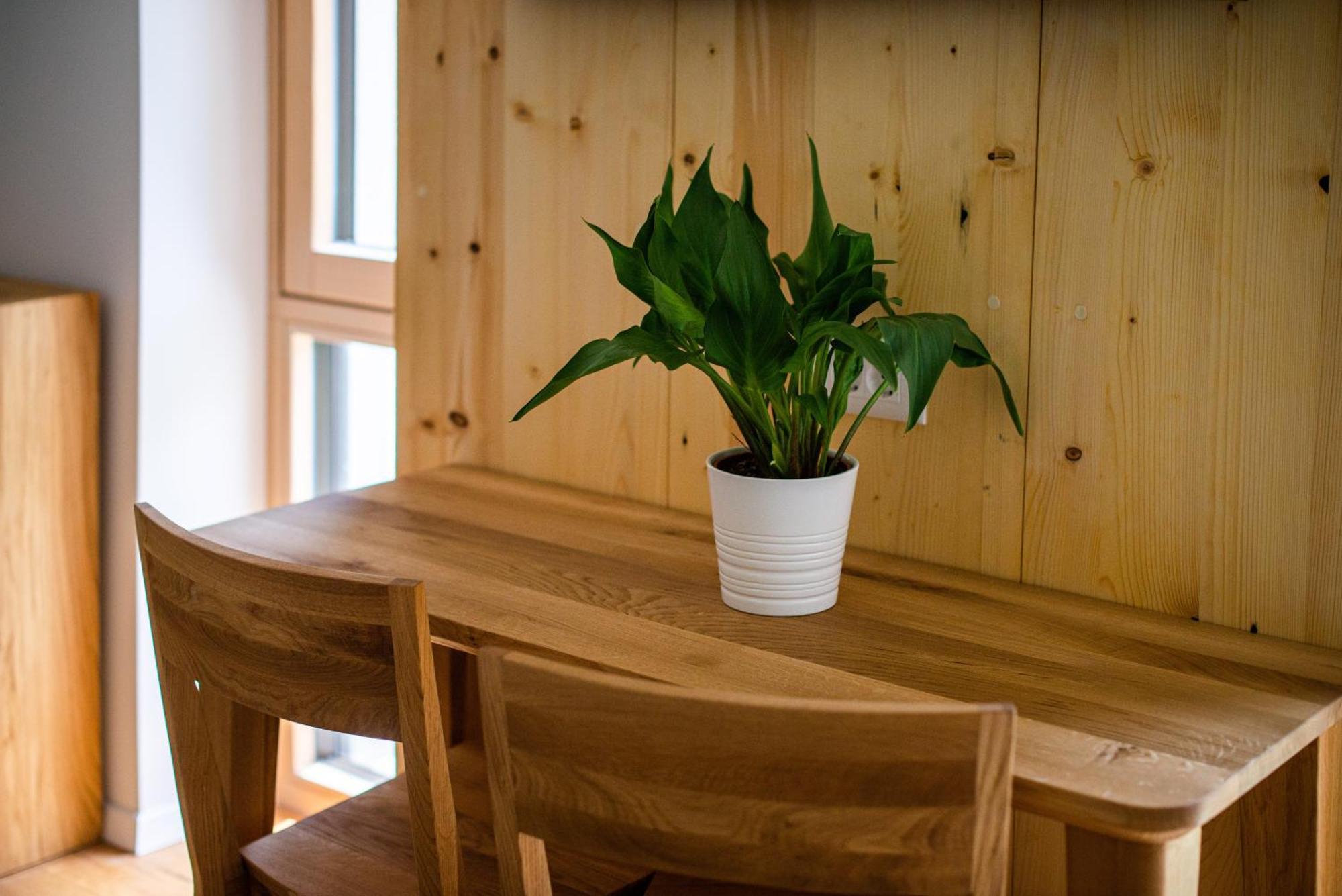 Appartamento Lucka Bled Quiet Location, Free Bikes, Big Garden, Doctor Esterno foto